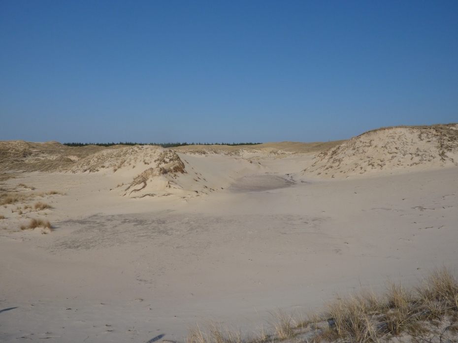 P1050116.JPG
