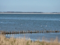P1040835