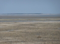 P1050141