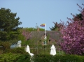P1050243