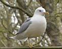 Dsc14203.jpg