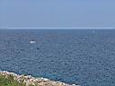 DSC16880.JPG