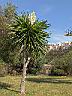 DSC16957.JPG