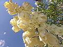 DSC17072.JPG