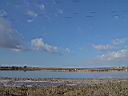 DSC17075.JPG