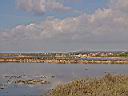 DSC17076.JPG
