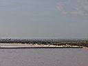 DSC17081.JPG
