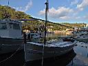 DSC17099.JPG