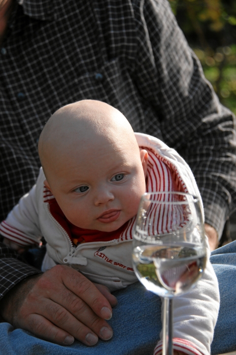 IMG23626.JPG