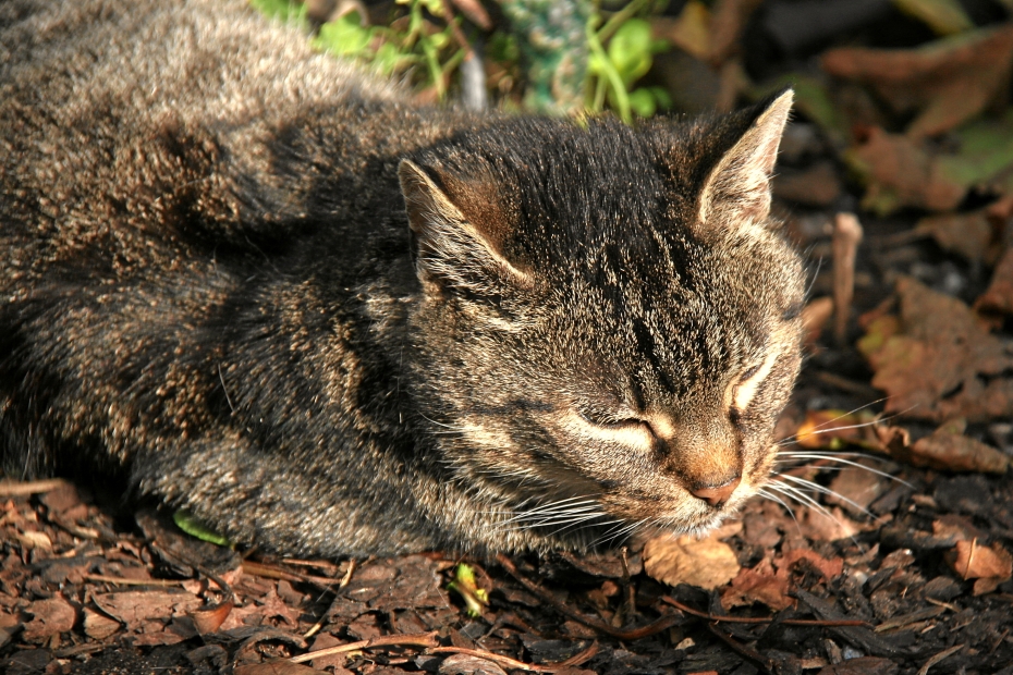 IMG23632.JPG