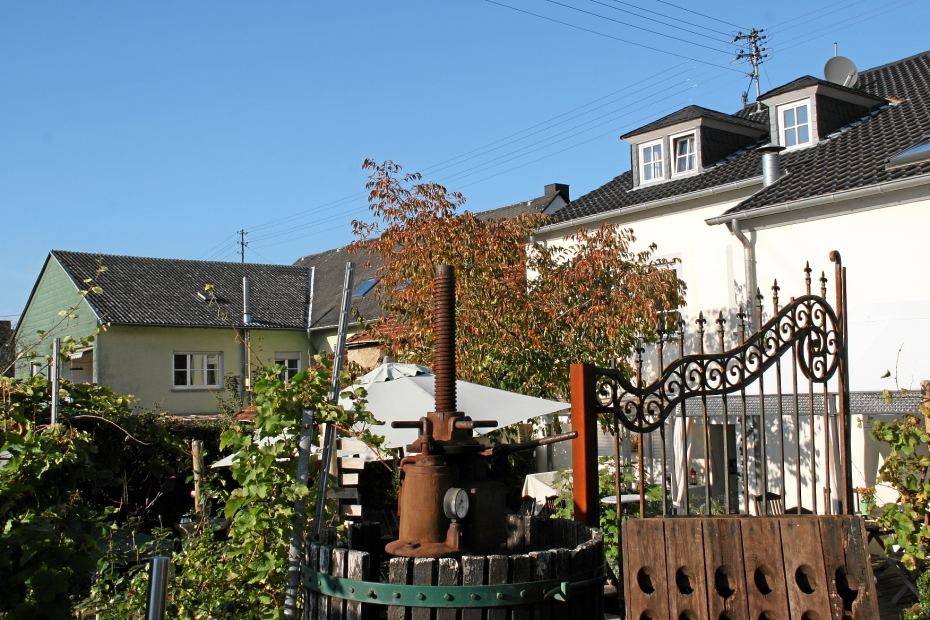 IMG23693.JPG - Weingut und Gästehaus mit Restaurant Sektscheune: seeeehr zu empfehlen