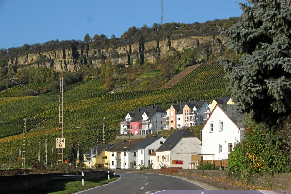 IMG23694.JPG - Kalksteinwand von Nittel