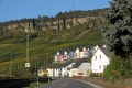 IMG23694