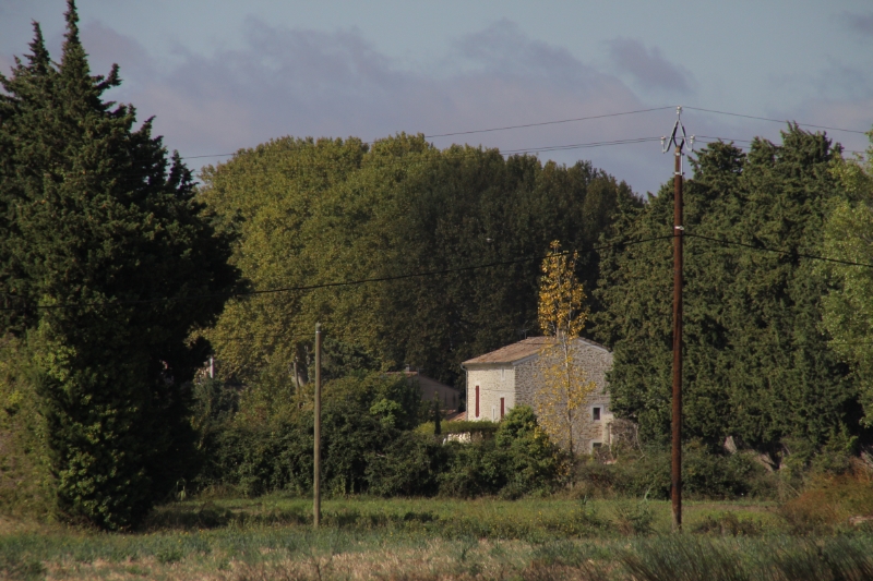 IMG23315.JPG