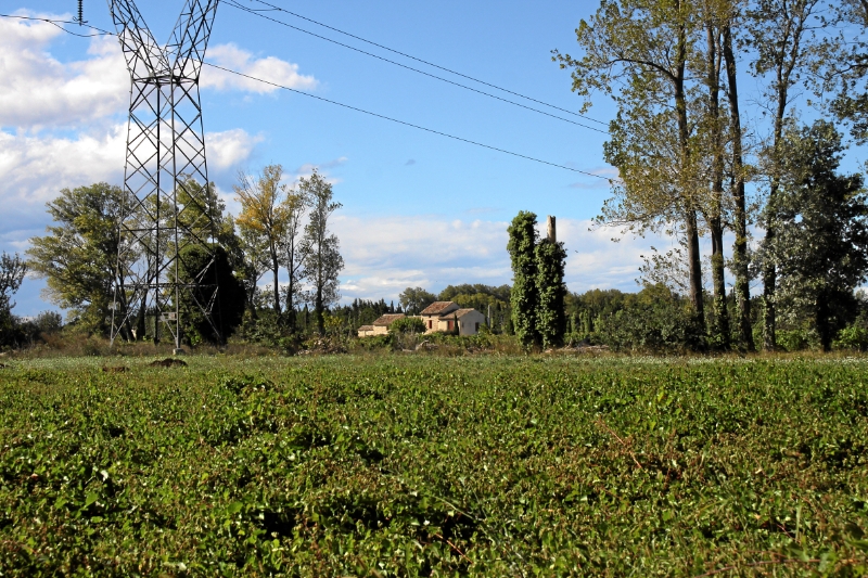 IMG23442.JPG