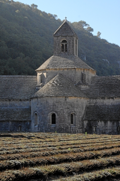 IMG23868.JPG