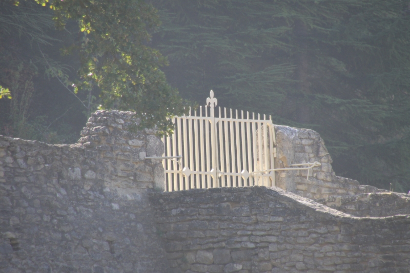 IMG23881.JPG