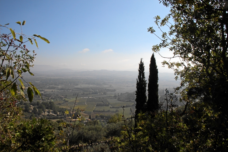 IMG23904.JPG