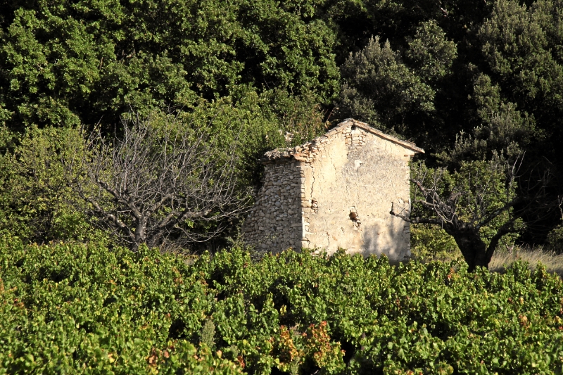 IMG23977.JPG