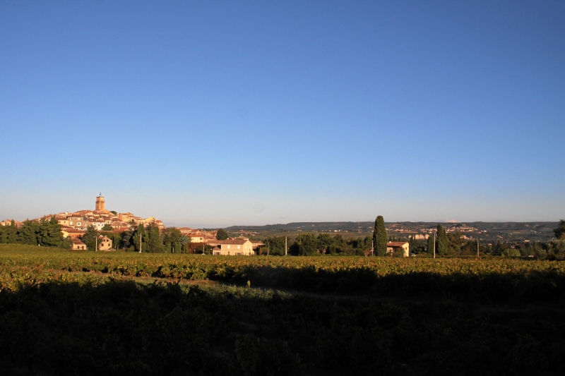 IMG23999.JPG