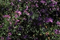 IMG23405