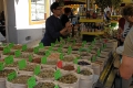 IMG23777