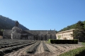 IMG23884
