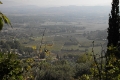 IMG23906