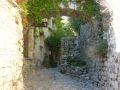 P1100037