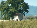 P1100327