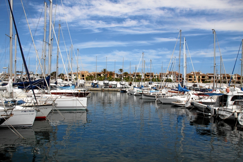 IMG12895.JPG