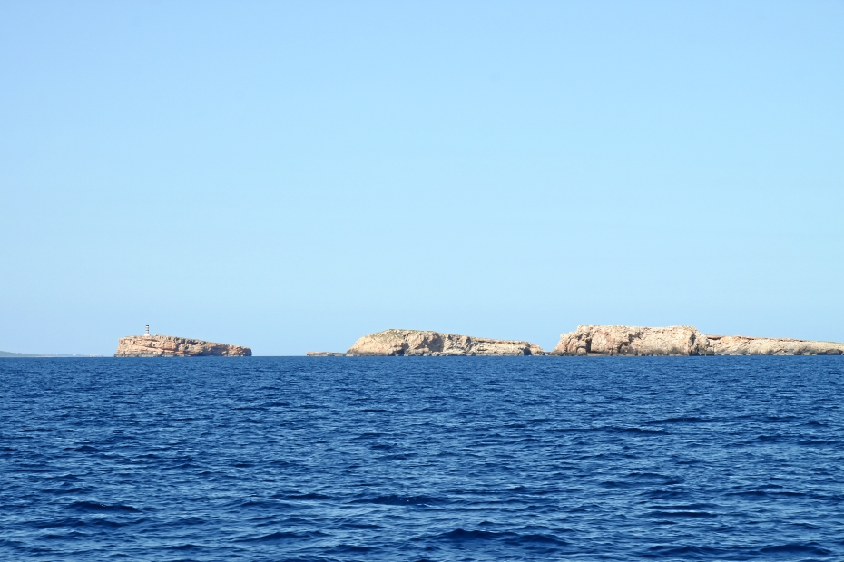 IMG13090.JPG
