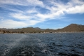 IMG12654