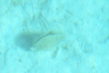IMG13169