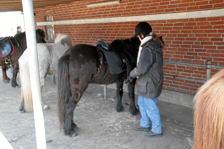 IMG17050.JPG