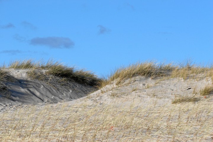 IMG17074.JPG