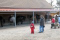 IMG16996