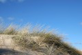 IMG17066