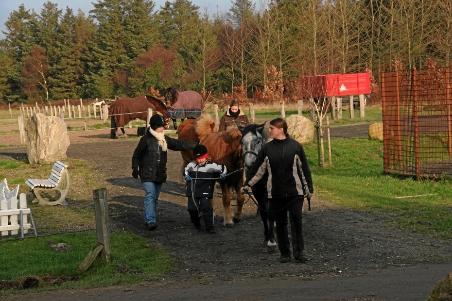 IMG24493.JPG - Auf zur Reit-Tour