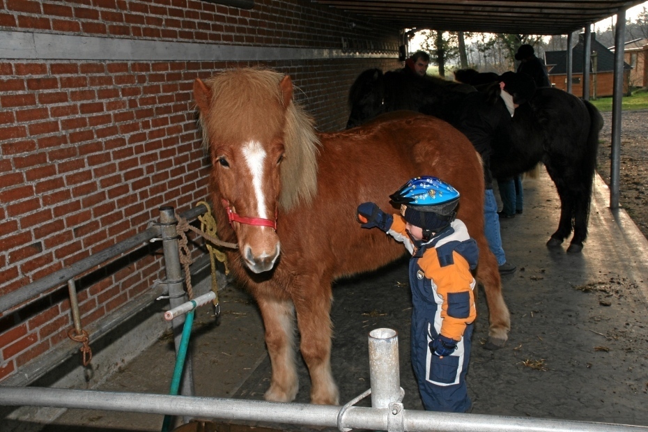 IMG24499.JPG