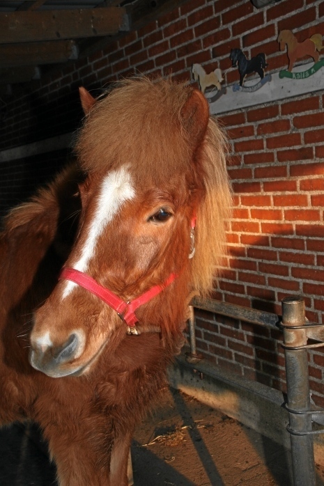 IMG24545.JPG