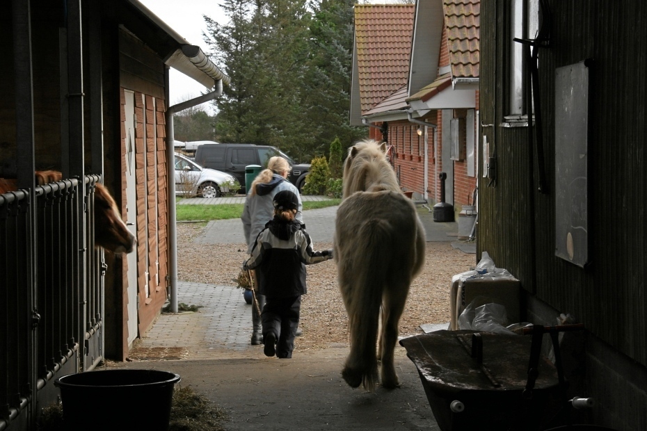 IMG24667.JPG - Auf zur Reitstunde