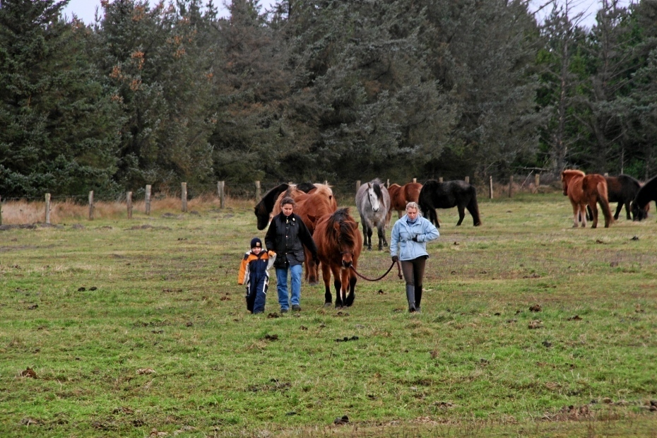 IMG24677.JPG