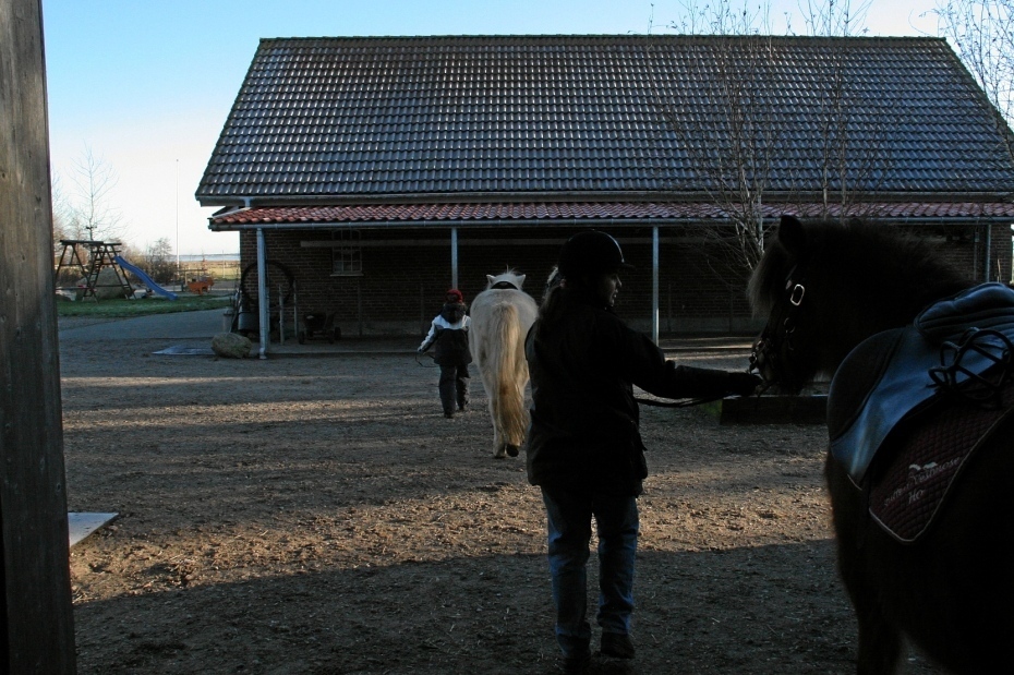 IMG24997.JPG