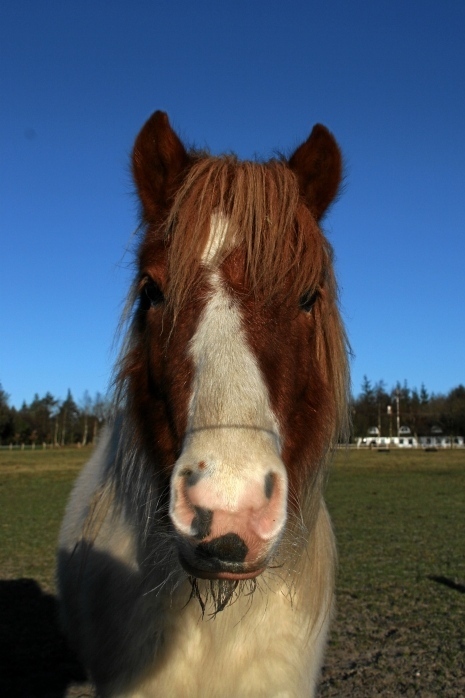 IMG25035.JPG