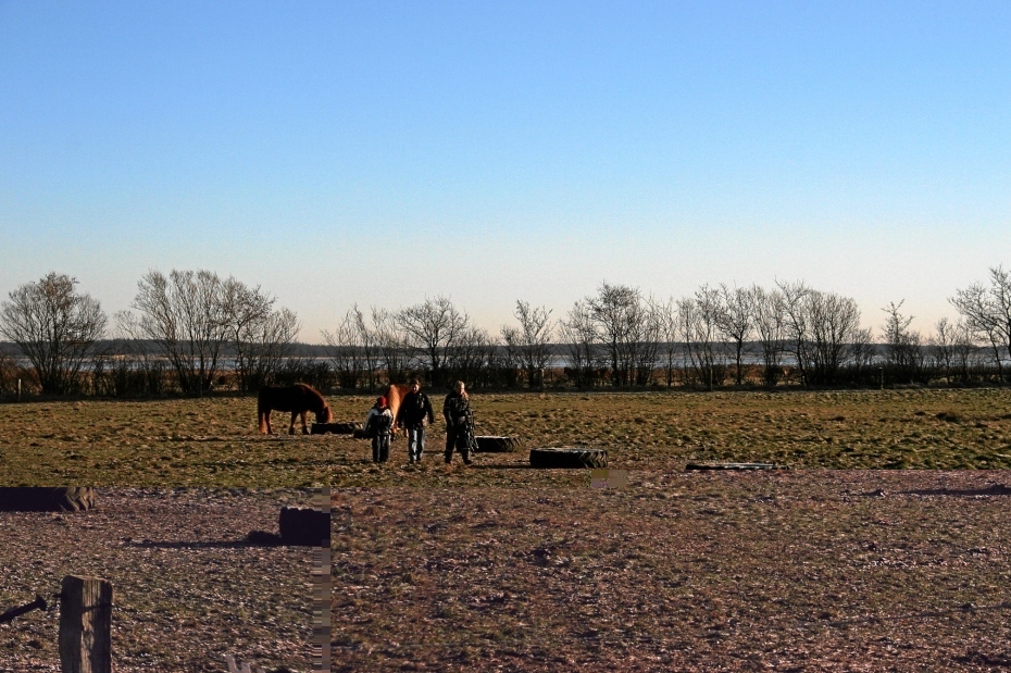 IMG25051.JPG