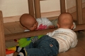 IMG24573