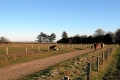 IMG25021