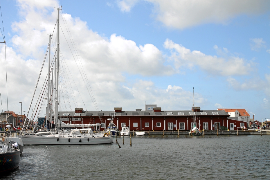 IMG_4578.JPG