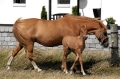 IMG_4749